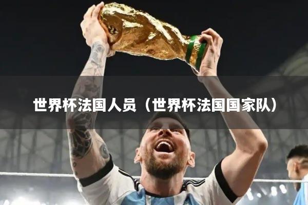 世界杯法国人员(世界杯法国国家队)