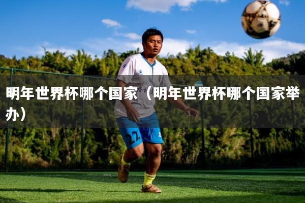 明年世界杯哪个国家(明年世界杯哪个国家举办)