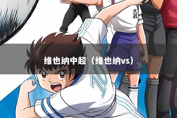 维也纳中超(维也纳vs)