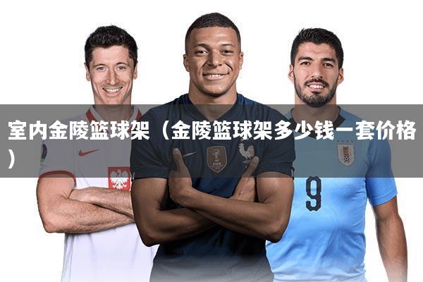 室内金陵篮球架(金陵篮球架多少钱一套价格)