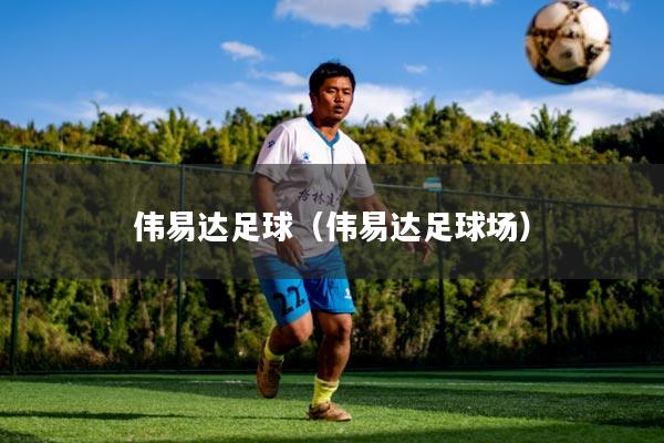伟易达足球(伟易达足球场)