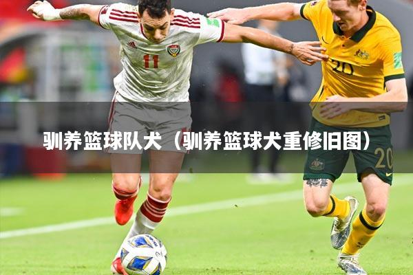 驯养篮球队犬(驯养篮球犬重修旧图)