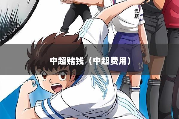 中超赌钱(中超费用)