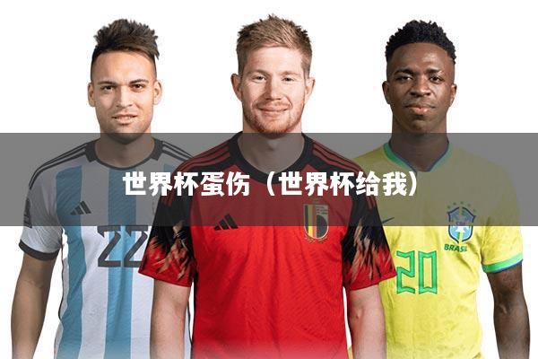 世界杯蛋伤（世界杯给我）