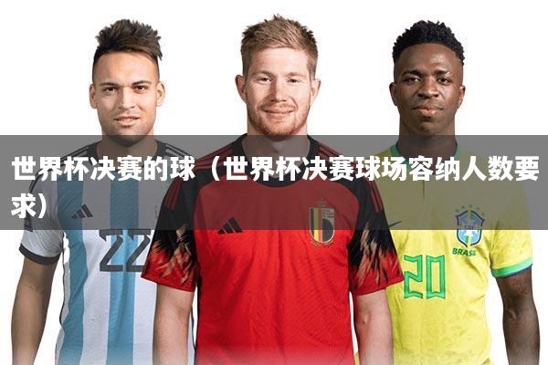 世界杯决赛的球（世界杯决赛球场容纳人数要求）