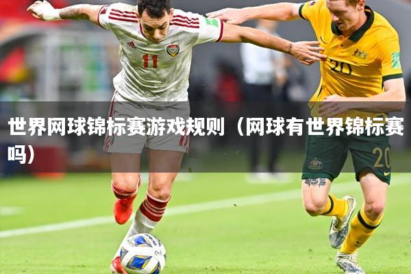 世界网球锦标赛游戏规则(网球有世界锦标赛吗)